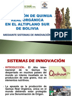 Quinua Real Produccion Quinua Real Altiplano