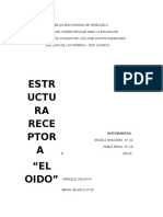 Informe Sobre El Oido