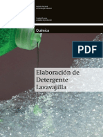 Cuadernillo Detergente.pdf