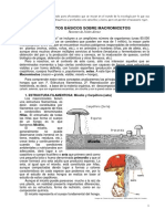 CURSO COMPLETO CONCEPTOS BÁSICOS SOBRE MACROMICETOS.pdf