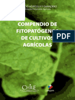 COMPEDIUM DE ENFERMEDADES CON SINTOMAS.pdf