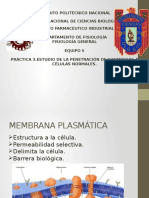 Seminario Fisio 3