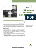 Bab 3 Kingdom Protista Dan Kingdom Fungi