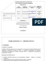 227411935-Informe-Practica-Microbiologia-Ambiental-Bucaramanga.docx