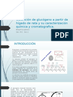 Obtención de Glucógeno A Partir de Hígado de Rata