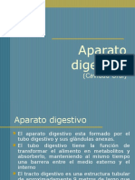 1 Aparato Digestivo Cavidad Oral