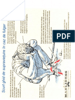 Ghid de Supravietuire La Fulgere PDF