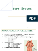 Gustatory System