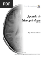 apostila_de_neuropsicologia.pdf