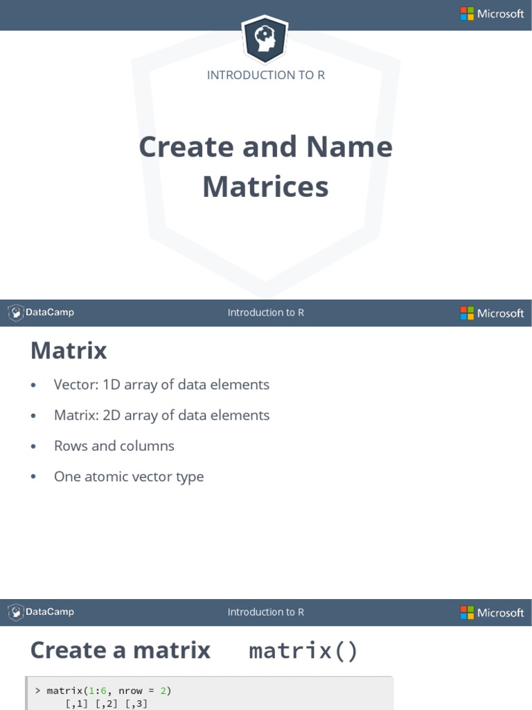 An Introduction to Creating and Naming Matrices in R | PDF
