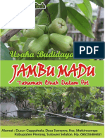 BUAH JAMBU MADU