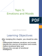 Topic 5 - Emotions Moods.pptx