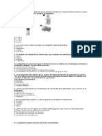 Prueba Ciencias 5 Basico Validacion