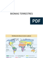 Biomas Terrestres: Tundra, Taiga, Floresta Temperada, Tropical e Campos