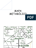 Mapa metabólico - Bioquímica