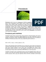 fotosintesis2.pdf