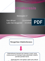 Elektroforesis PPT