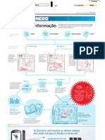 O trajeto da informação