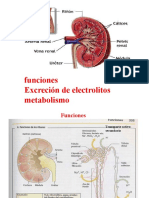 Sistema Renal