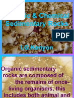 Organic and Chemical Sedimentary Rocks