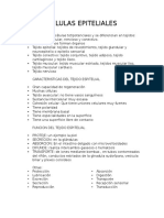 Características y clasificación del tejido epitelial