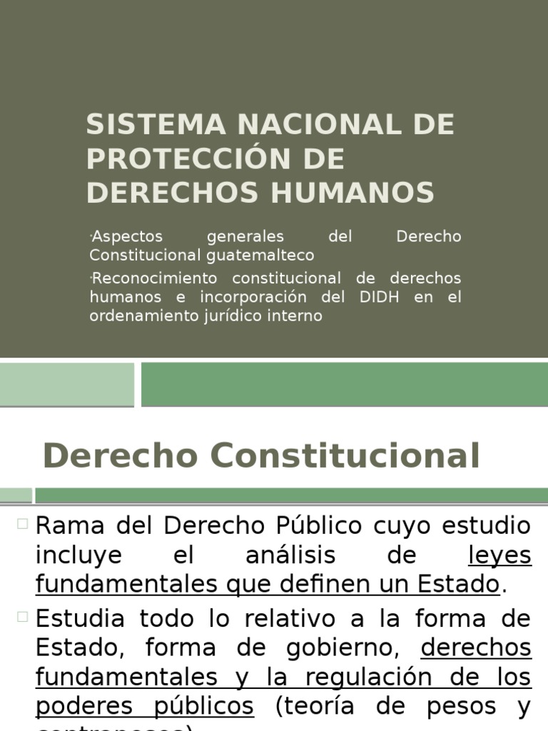 Sistema Nacional de Protección de Derechos Humanos | PDF | Constitución ...