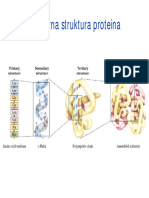 Kvaternarna Struktura Proteina