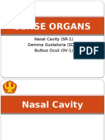 Histologi Sesi 1 Blok 19