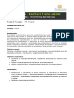 201401131517-Programa de Formacao Exercicio Fisico Laboral