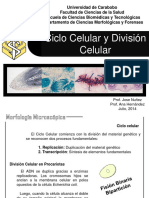 Ciclo celular y división celular