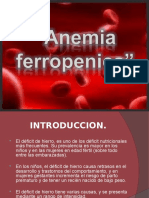 Anemia Ferropenica