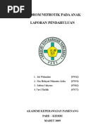 Download Lp Sindrom Nefrotik Pada Anak by suka SN329946328 doc pdf