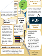 Infografia 3, Carla Cermola