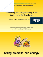Breeding and Engineering Non-food Crops for Biodiesel