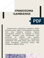 Trypanosoma Gambiense