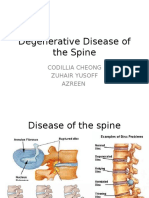 Anatomy Spine