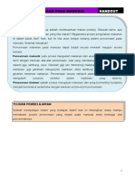 Handout Sistem Pencernaan