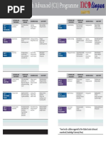 busness english advanced programme