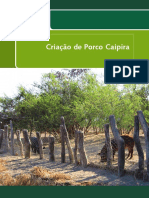 criação de porco caipira.pdf