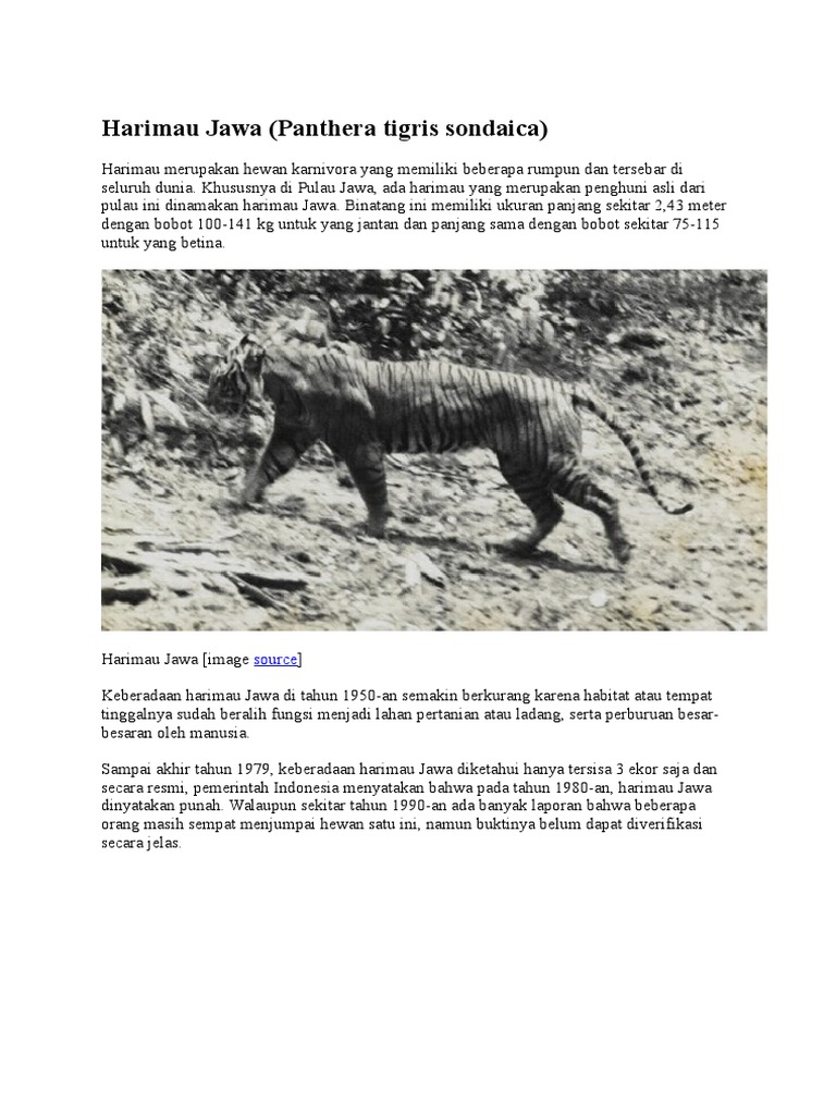 Harimau Jawa Docx