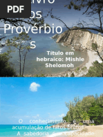 Aula Dos Livros Poéticos - 3