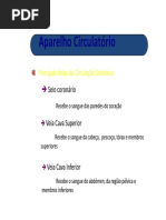 Anatomia m Sis. Circulatorio Veias