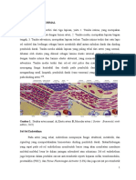 Mekanisme Plak, Atheroma, Trombus, Dan Kolesterol (Dr. Uswa Malik)