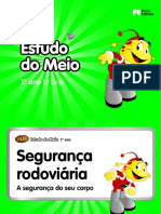 Segurança Rodoviária