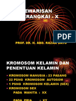 10.pewarisan Gen Terangkai X-DR - Razak