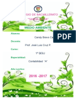 Proyecto Medio Ambiente