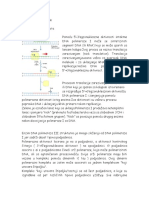 Dna Metabolizam 2