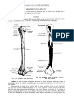 Extracto QUIROZ Humero Radio Cubito