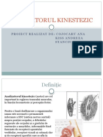 ANALIZATORUL KINESTEZIC