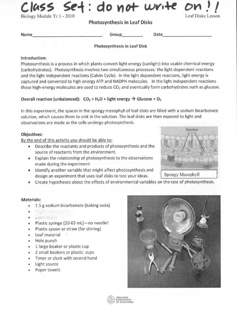 Leaf Disc Lab | PDF
